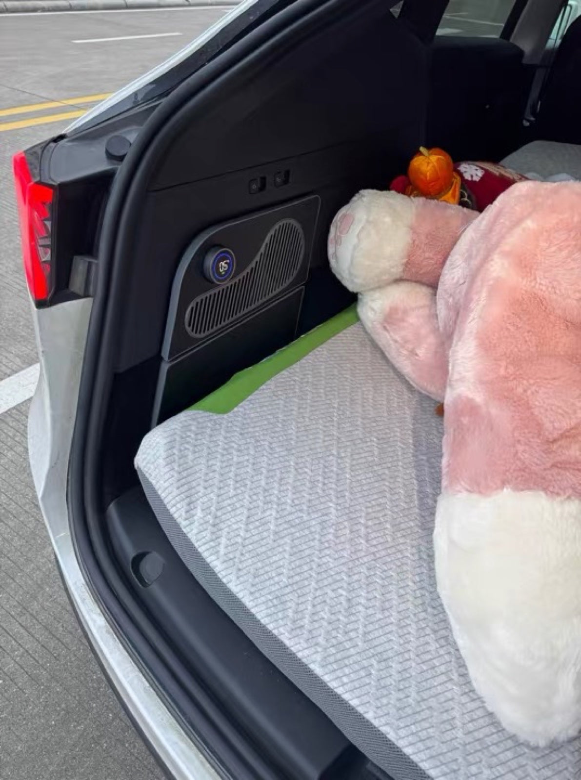 Camping: mattress in, fridge within reach